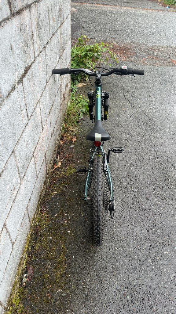 Cannondale Kids' Mountain Bike Trail 20 Green Good Condition 20"