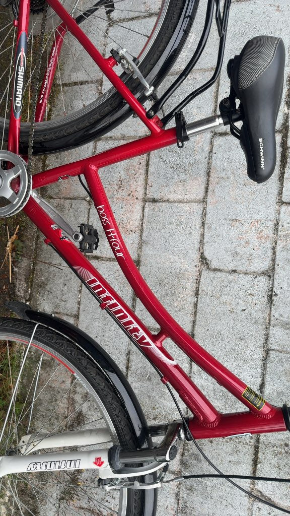 Infinity Boss H-Four Hybrid Bike Red Used