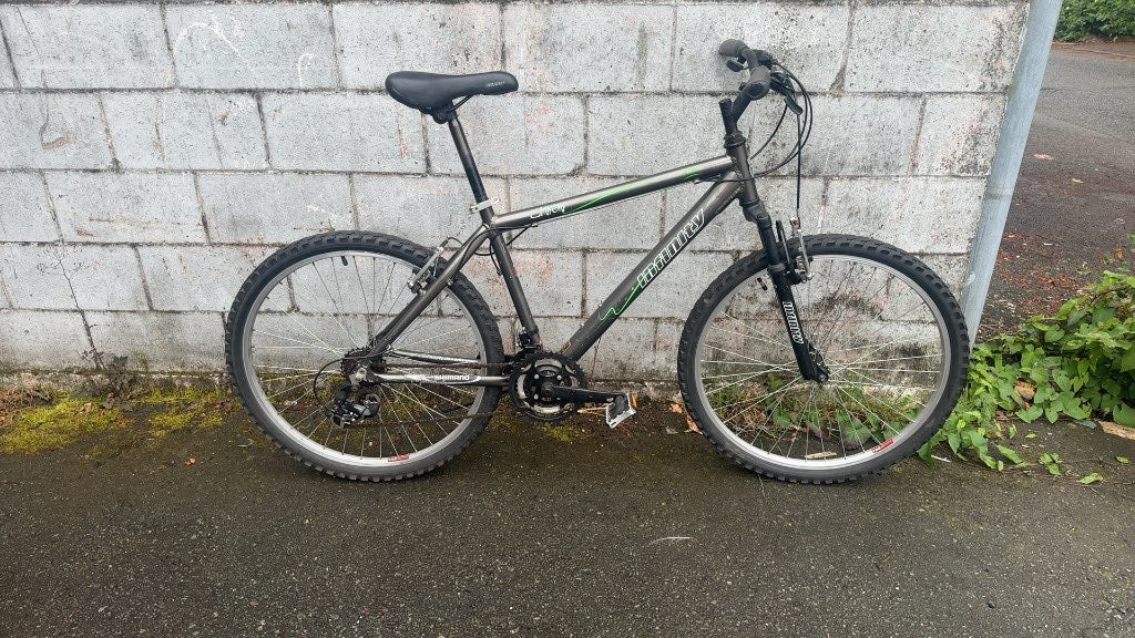 Infinity Mountain Bike Canyon Grey Used 26"