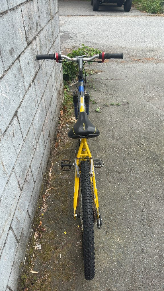 Infinity Mountain Bike Telluride 21 Speed Used 26"