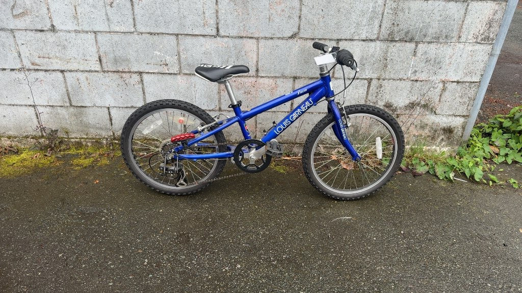 Louis Garneau F-20 Kids Mountain Bike Blue Used 20"
