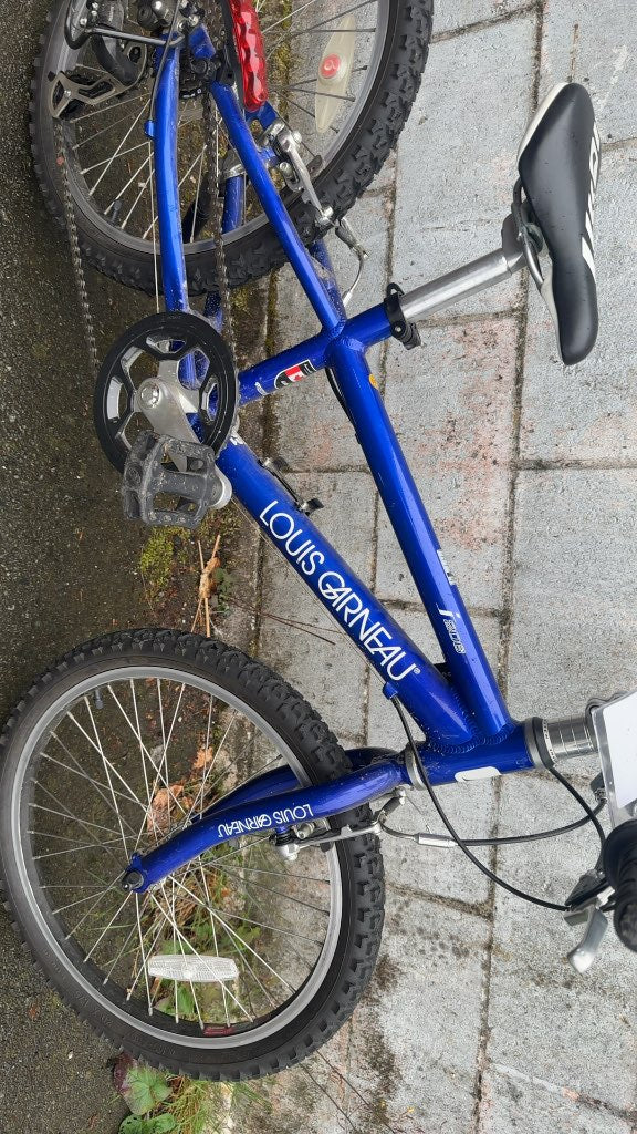 Louis Garneau F-20 Kids Mountain Bike Blue Used 20"