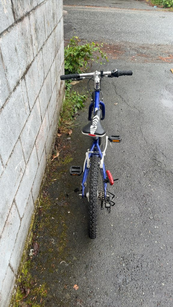 Louis Garneau F-20 Kids Mountain Bike Blue Used 20"