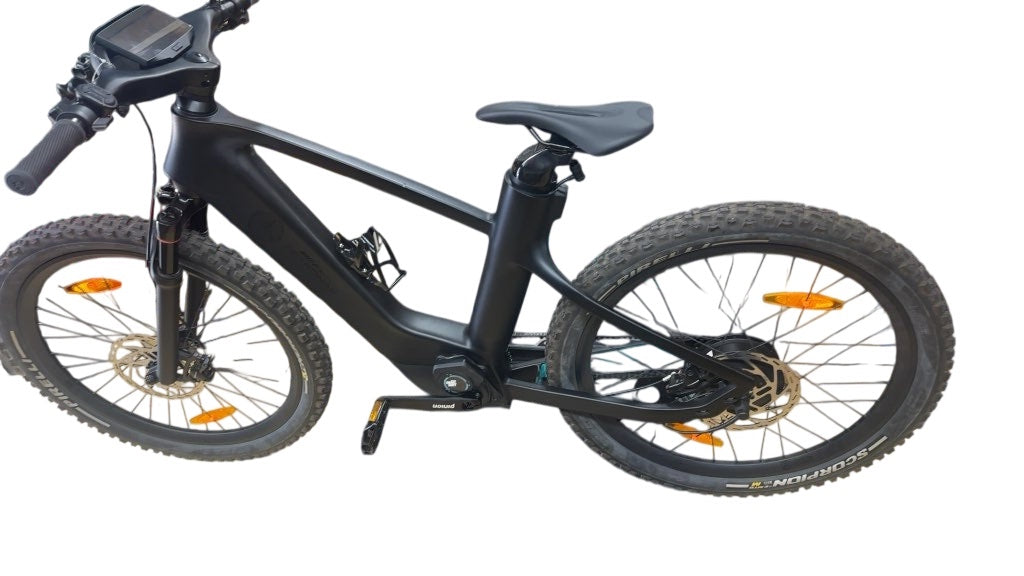n+ Mercedes-AMG Petronas F1 Team Rally Edition E-Bike Excellent Condition