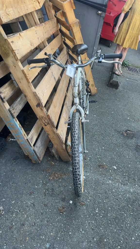 Nishiki Bushwacker 26" Mountain Bike