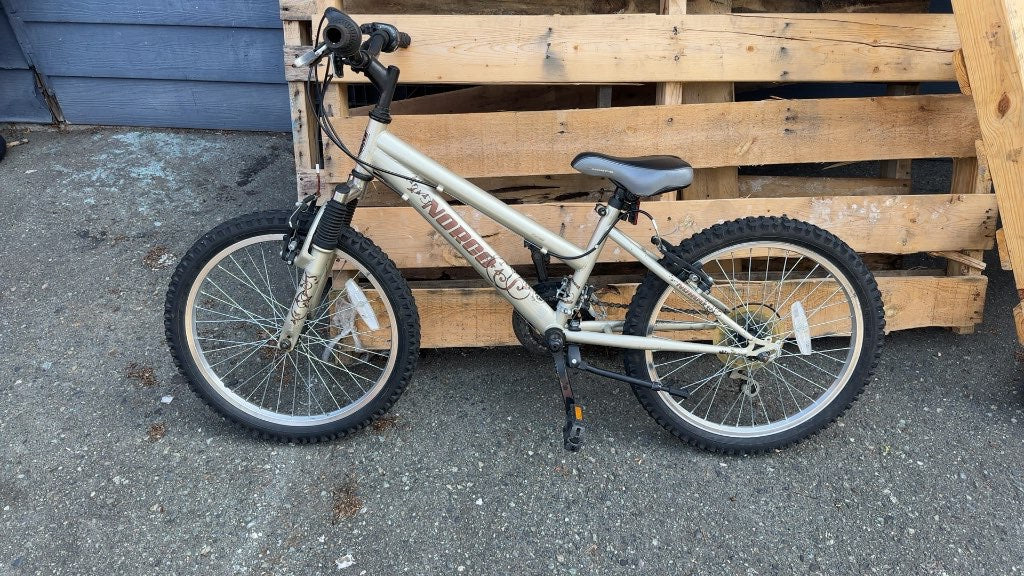 Norco Diva 24" Youth Mountain Bike - Champagne