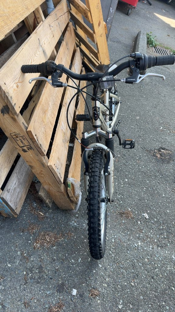 Norco Diva 24" Youth Mountain Bike - Champagne