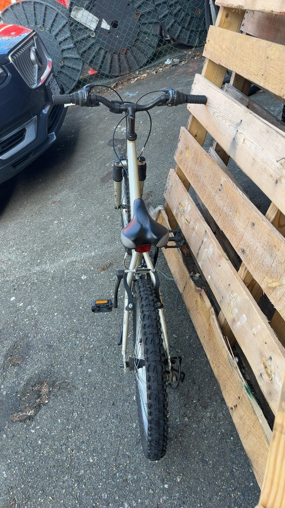 Norco Diva 24" Youth Mountain Bike - Champagne