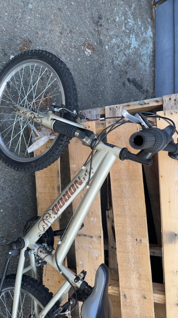 Norco Diva 24" Youth Mountain Bike - Champagne