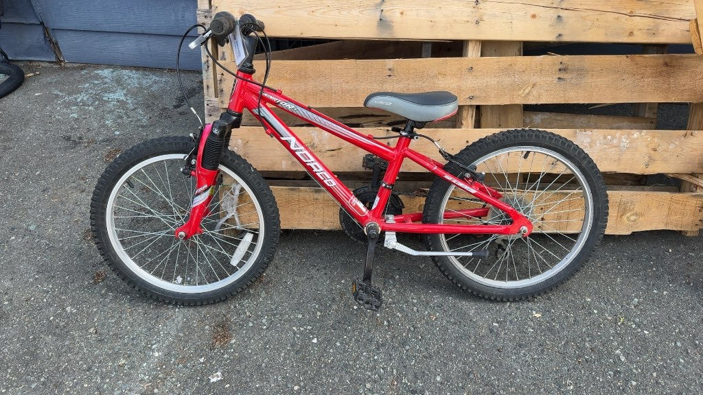 Norco Eliminator 20" Kids' Mountain Bike - Red