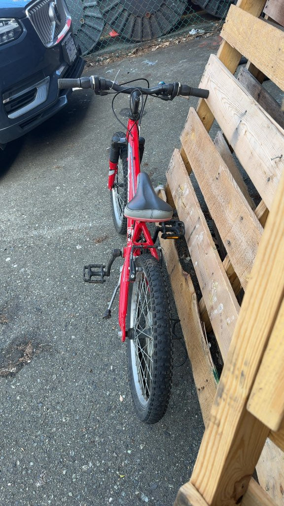 Norco Eliminator 20" Kids' Mountain Bike - Red
