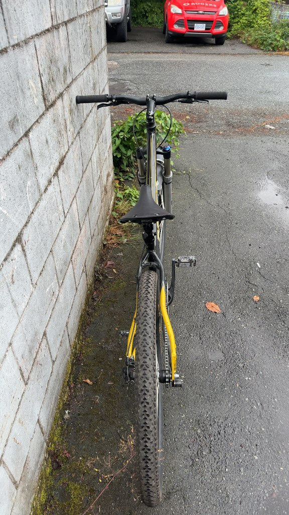 Norco Nitro Niner 29er Hardtail Mountain Bike-single speed, lots of upgraded components