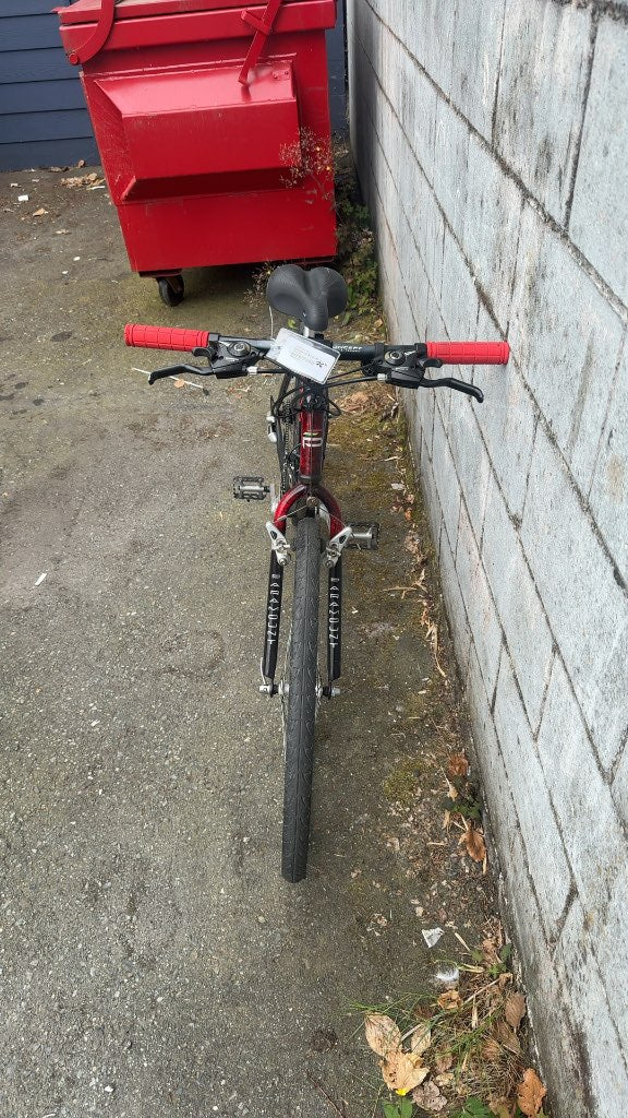 Paramount Series PDG Mountain Bike Black/Red Used 26"