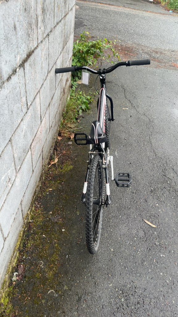 Redline Proline Racing BMX Bike 20" Used
