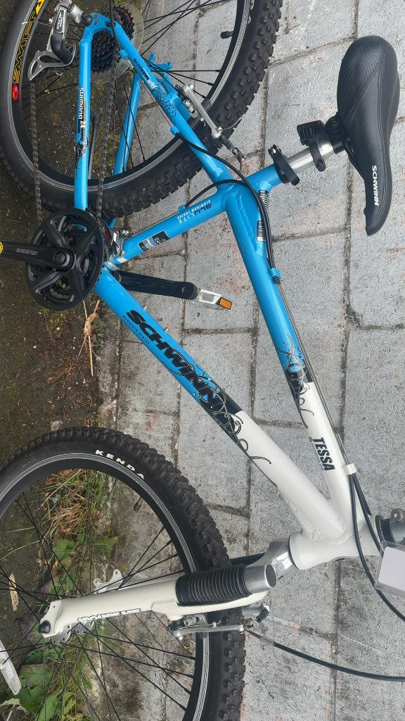 Schwinn Mountain Bike Tessa Blue/White Used 26"