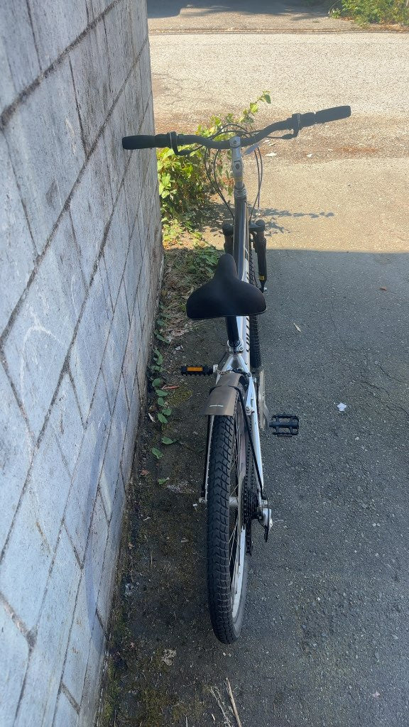 Specialized Expedition Hybrid Comfort Bike - Silver/Black