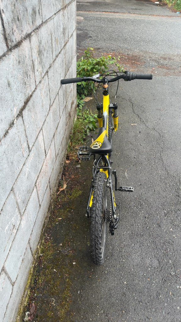 Specialized Kids Mountain Bike Hotrock 20 Yellow/Black Used 20"