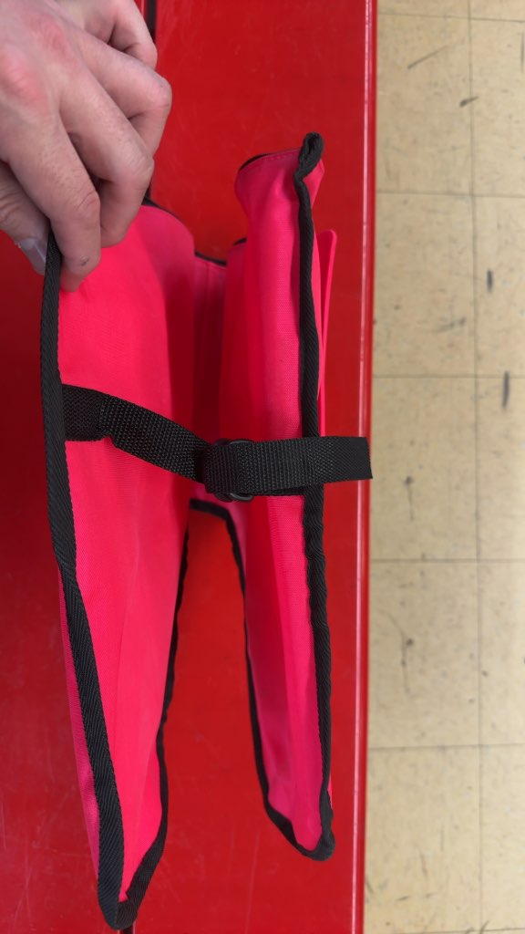 RYP skate Carrier Bag Pink Good Condition