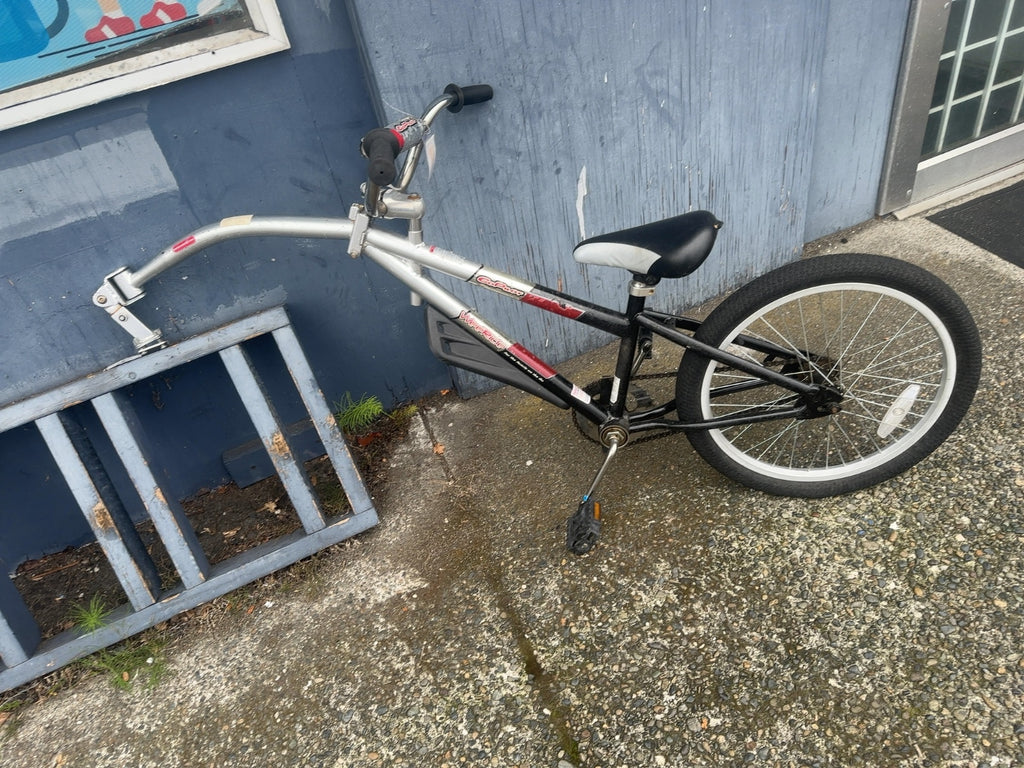 Co-Pilot WeeRide Tag-Along Trailer Bike