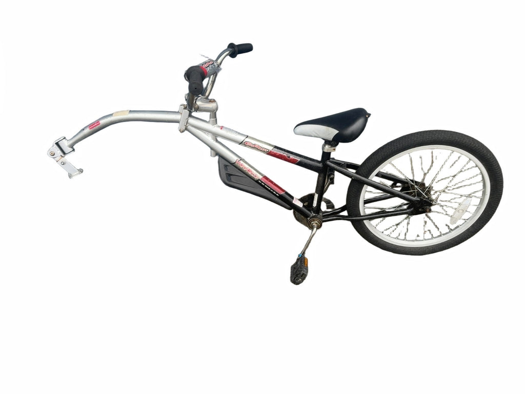 Co-Pilot WeeRide Tag-Along Trailer Bike