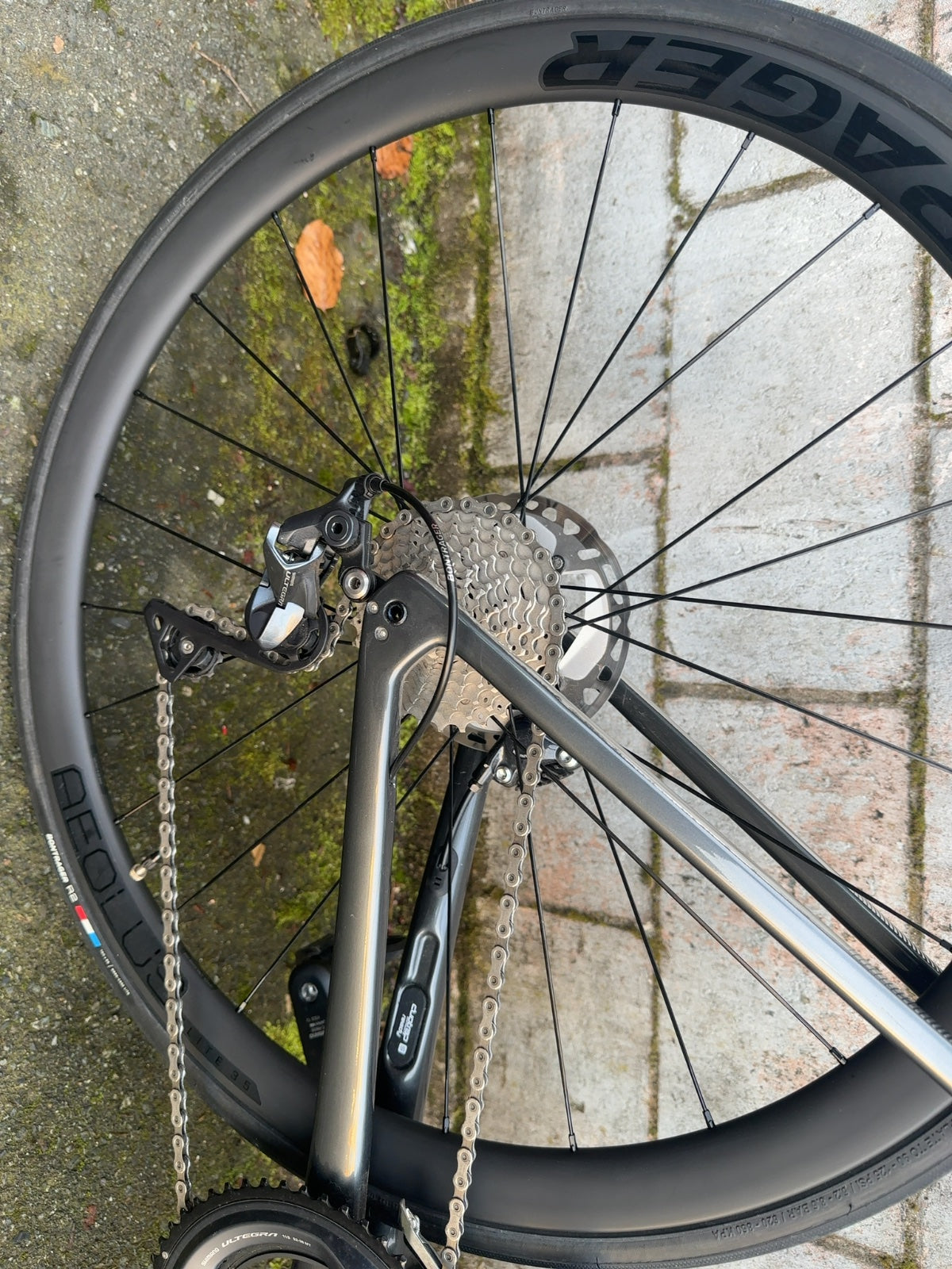 Trek Émonda SL 6 Disc Road Bike - 54cm