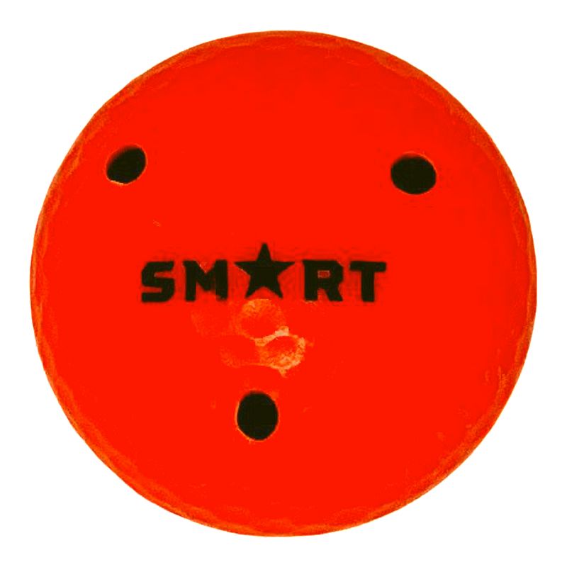 SMART Hockey Off-Ice Stick Handling/Training Ball, Orange
6oz